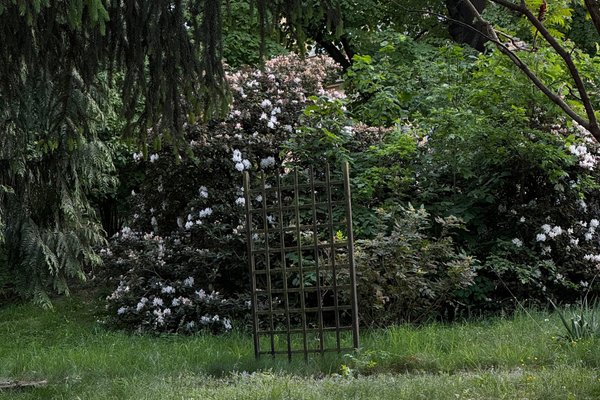 Vila Tusculum - náhled 14