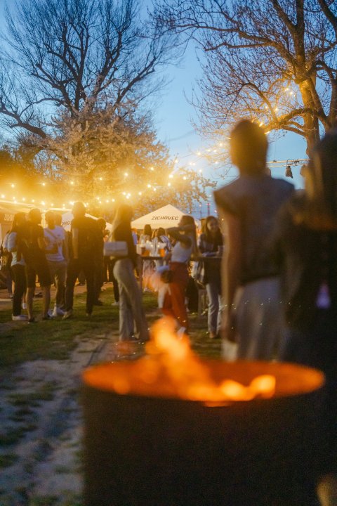 Vlny Štvanice - náhled 22