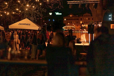 Vlny Štvanice - Venkovní sportovní prostory - náhled 15