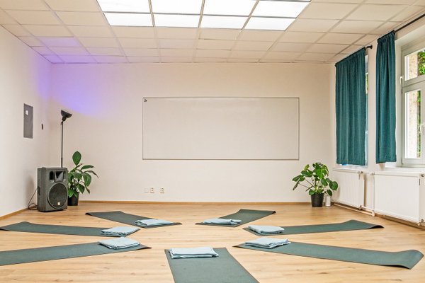 Vyšehradská 8 - IMPRO CENTRUM - náhled 23