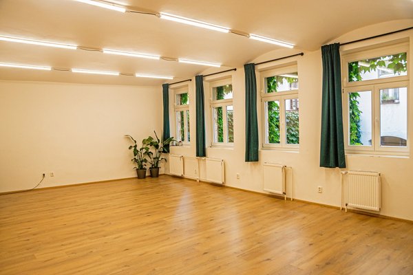 Vyšehradská 8 - IMPRO CENTRUM - náhled 29